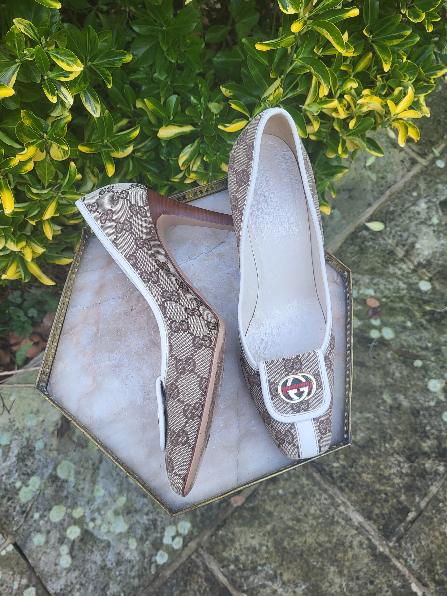 Gucci GG Monogram Canvas Pumps