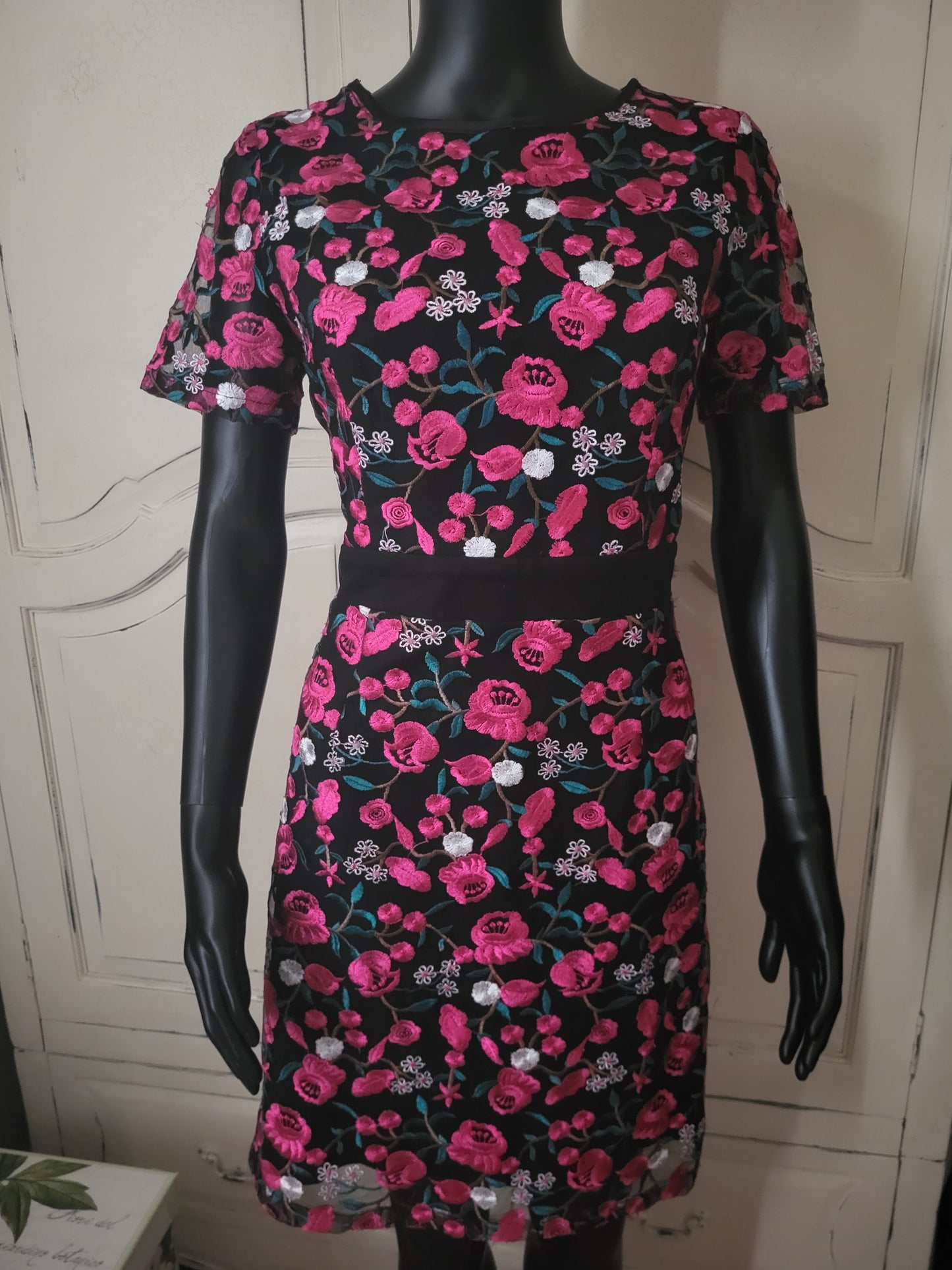 Girls on Film Fuchsia Floral Embroidered Dress