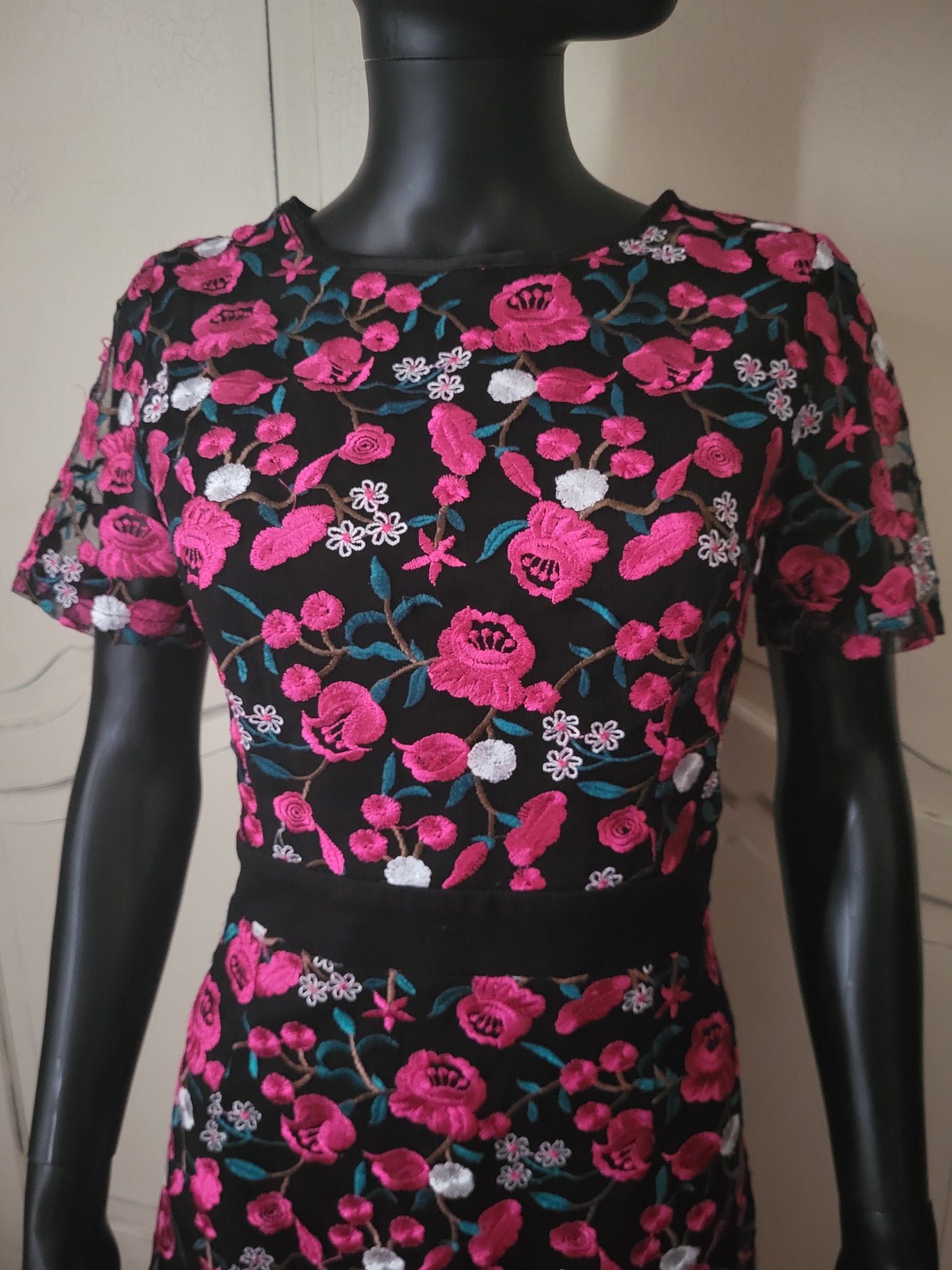 Girls on Film Fuchsia Floral Embroidered Dress