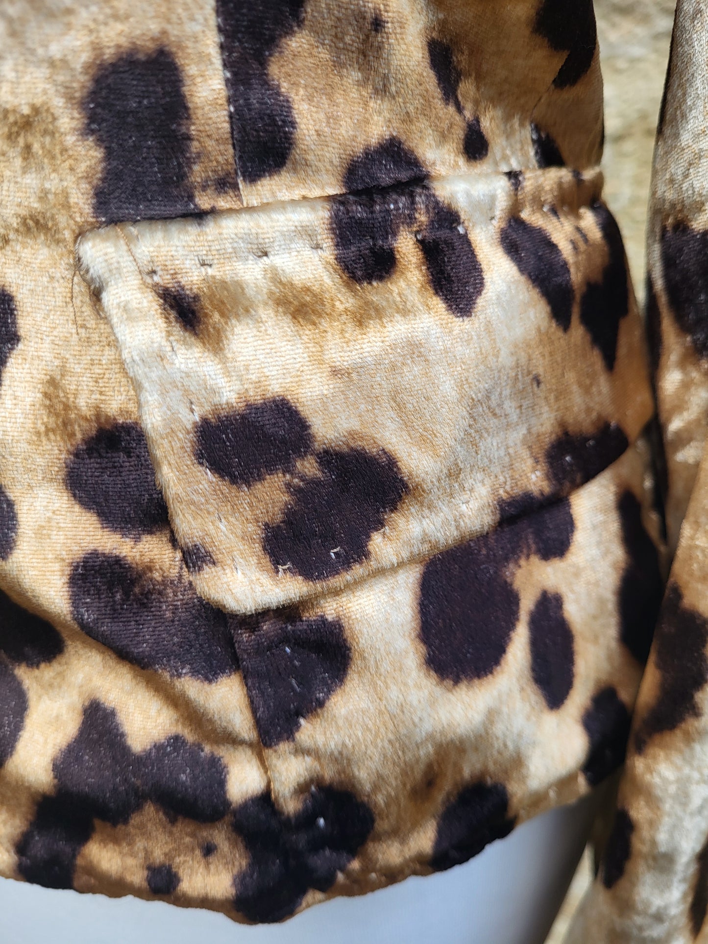 Close up of Dolce & Gabbana leopard print velvet blazer, luxury designer jacket